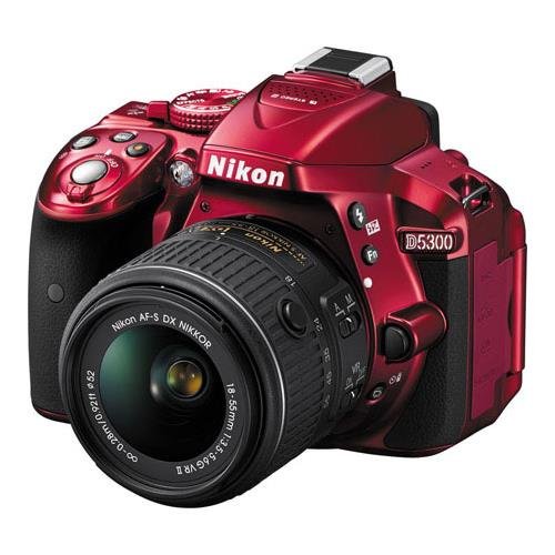 Amazon.com : Nikon D5300 24.2 MP CMOS Digital SLR Camera with 18